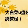 大白菜u盤裝系統教程視頻（大白菜u盤裝系統教程）