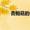 杏鮑菇的做法視頻（杏鮑菇的做法）