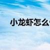 小龍蝦怎么做好吃視頻（小龍蝦怎么做）