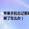 蘋果手機忘記密碼鎖屏了怎么辦解開（蘋果手機忘記密碼鎖屏了怎么辦）