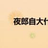 夜郎自大什么意思（夜郎自大的意思）