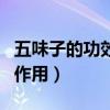 五味子的功效與作用及禁忌（五味子的功效與作用）