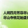 人間四月芳菲盡山寺桃花始盛開是什么意思（人間四月芳菲盡山寺桃花始盛開的解釋）
