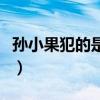 孫小果犯的是什么事件（孫小果犯的是何事件）