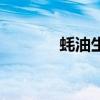 蠔油生菜怎么做（蠔油生菜）