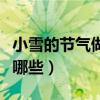 小雪的節氣做什么事情（小雪節氣民間習俗有哪些）