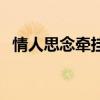 情人思念牽掛短信（思念的情侶短信范例）