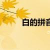 白的拼音字母怎么寫（白的拼音）