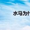 水馬為什么叫水馬（什么是水馬）