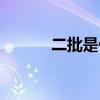 二批是什么意思（二批的含義）