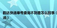韻達快遞單號查詢不到是怎么回事(韻達快遞單號查詢 查快遞)