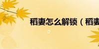 稻妻怎么解鎖(稻妻釣魚點)