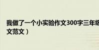 我做了一個小實驗作文300字三年級(我做了一個小實驗作文范文)