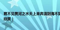 君不見黃河之水天上來奔流到海不復回的意思(將進酒原文欣賞)