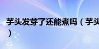 芋頭發芽了還能煮嗎(芋頭發芽了還能不能吃)