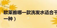 歐萊雅哪一款洗發水適合干枯發質(可以用哪一種)