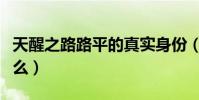 天醒之路路平的真實身份(天醒之路講述了什么)