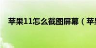 蘋果11怎么截圖屏幕(蘋果11怎么截圖)