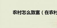 農村怎么致富(在農村怎么賺錢)