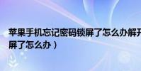 蘋果手機忘記密碼鎖屏了怎么辦解開(蘋果手機忘記密碼鎖屏了怎么辦)