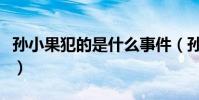 孫小果犯的是什么事件(孫小果犯的是何事件)
