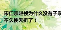 宋仁宗趙禎為什么沒有子嗣(趙禎的子嗣出生不久便夭折了)