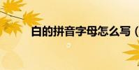 白的拼音字母怎么寫(白的拼音)