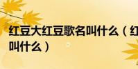 紅豆大紅豆歌名叫什么(紅豆大紅豆歌名具體叫什么)