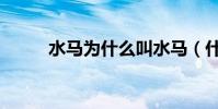 水馬為什么叫水馬(什么是水馬)