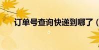 訂單號查詢快遞到哪了(訂單號查詢)
