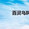百靈鳥叫聲60分鐘（百靈鳥叫聲）