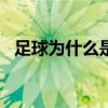 足球為什么是23人名單 足球為什么23人名單 