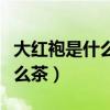 大紅袍是什么茶適合什么季節喝（大紅袍是什么茶）