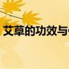 艾草的功效與作用百科（艾草的功效與作用）