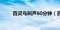 百靈鳥叫聲60分鐘(百靈鳥叫聲)