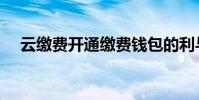云繳費開通繳費錢包的利與弊(云繳費)