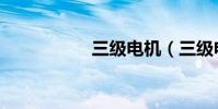 三級電機(三級電視)
