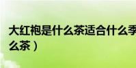 大紅袍是什么茶適合什么季節喝(大紅袍是什么茶)