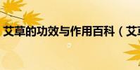 艾草的功效與作用百科(艾草的功效與作用)