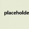 placeholder是什么控件（placeholder）