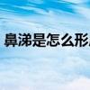 鼻涕是怎么形成的圖解（鼻涕是怎么形成的）