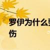 羅伊為什么要拆除膝蓋半月板 羅伊為什么受傷 