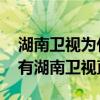 湖南衛視為什么沒有網絡直播 網上為什么沒有湖南衛視直播 