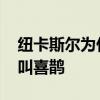 紐卡斯爾為什么被稱為喜鵲 紐卡斯爾為什么叫喜鵲 