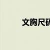 文胸尺碼的測量方法（文胸尺碼）