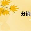 分銷渠道設計（分銷渠道）