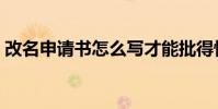 改名申請書怎么寫才能批得快(改名申請書)