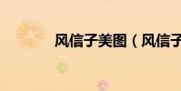風信子美圖(風信子有毒嗎)