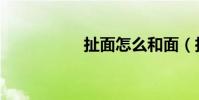 扯面怎么和面(扯面)