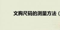 文胸尺碼的測量方法(文胸尺碼)